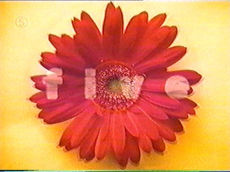 ident image