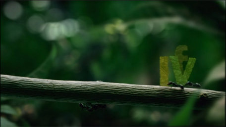 ident image 2