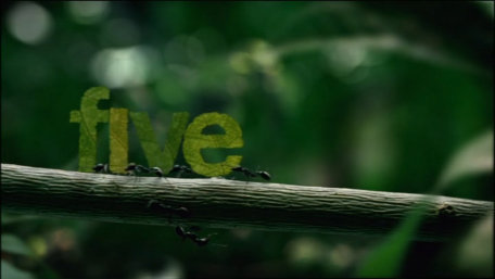 ident image 2