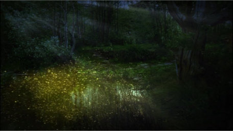 ident image 1