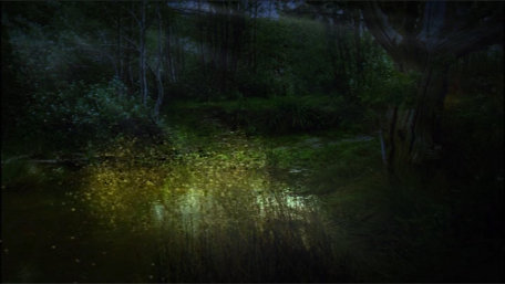 ident image 2