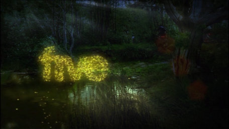 ident image 2