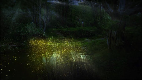 ident image 2