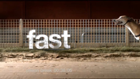 ident image 2
