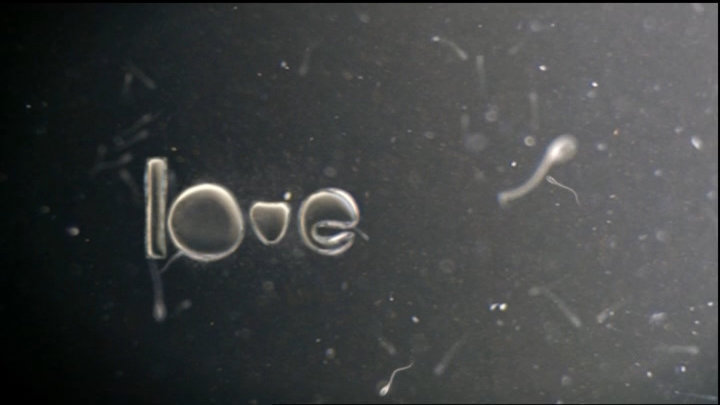 ident image 2